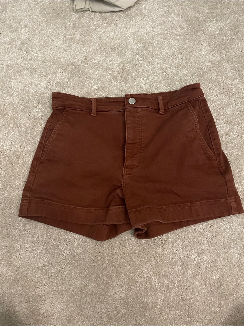 Everlane shorts